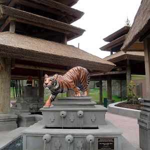 Trail of the Tiger - Fountain