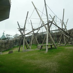 Trail of the Tiger - Orangutan Exhibit