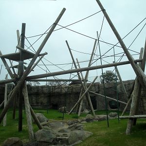 Trail of the Tiger - Orangutan Exhibit