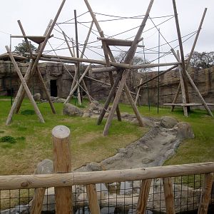Trail of the Tiger - Orangutan Exhibit