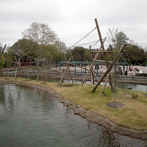 Trail of the Tiger - Siamang Exhibit
