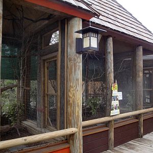 Trail of the Tiger - Aviaries