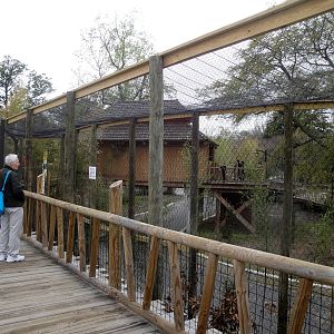 Trail of the Tiger - Rhinoceros Hornbill Exhibit