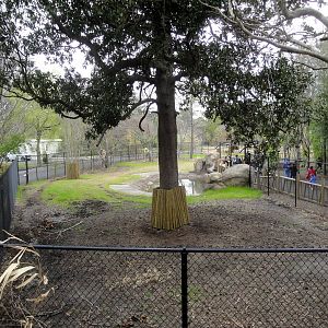 Trail of the Tiger - Malayan Tapir Exhibit