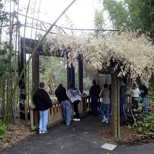 Trail of the Tiger - Asian Black Bear Viewing Area