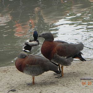 Identification please?