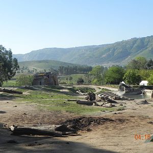 Old side of African Elephant yard.