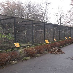 Parrot's aviary