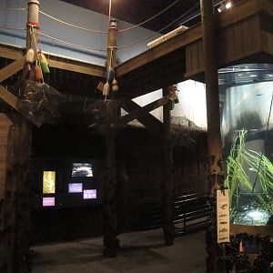 Blue Crab Exhibit