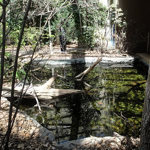 Upland River Exhibit