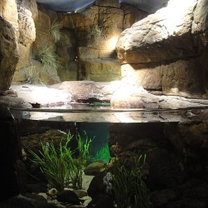 Mediterranean Sea Exhibit