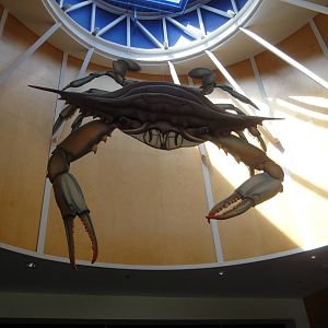 Blue Crab at Entrance