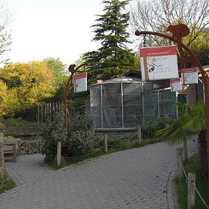 Plaswijckpark Rotterdam - Old ape house