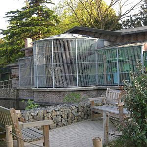 Plaswijckpark Rotterdam - Old ape house