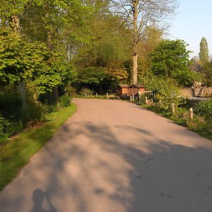 Plaswijckpark Rotterdam - Path next to the Black and White Ruffed Lemurs