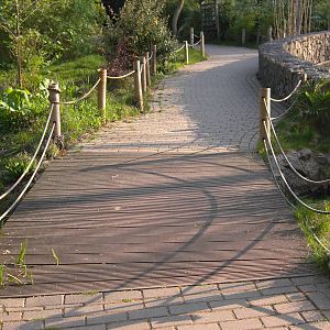 Plaswijckpark Rotterdam - Bridge next to the Black and White Ruffed Lemurs