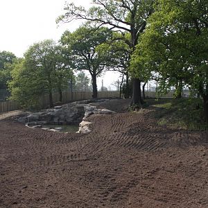 Tiger enclosure (the other one)