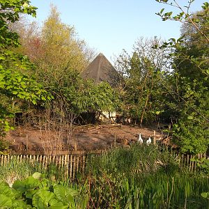 Plaswijckpark Rotterdam - Goose enclosure