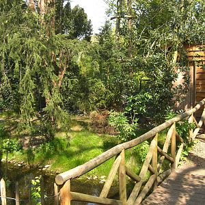 Plaswijckpark Rotterdam - Eagle Owl aviary
