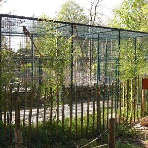 Plaswijckpark Rotterdam - Outside cage for the Black and White Ruffed Lemur
