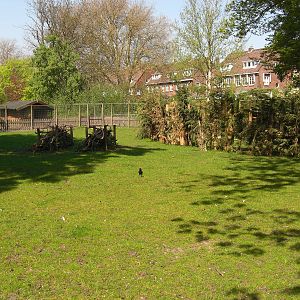Plaswijckpark Rotterdam - Red deer and Roe deer enclosure