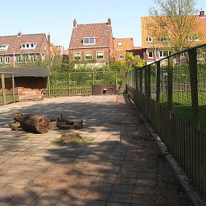 Plaswijckpark Rotterdam - Red deer and Roe deer enclosure