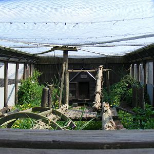 Enclosure for raccoons at The Ark Animal Sanctuary, 22 April 2011