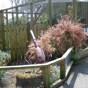 Birdland Park & Gardens, 22 April 2011