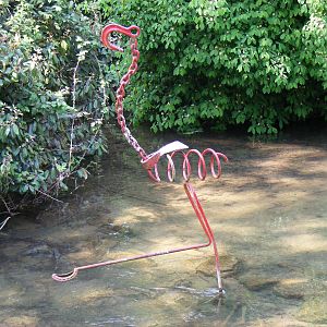 Birdland Park & Gardens, 22 April 2011