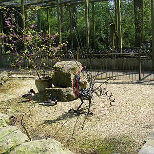 Birdland Park & Gardens, 22 April 2011