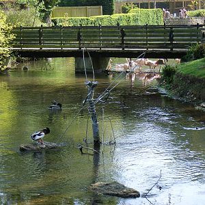 Birdland Park & Gardens, 22 April 2011
