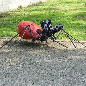 Birdland Park & Gardens, 22 April 2011