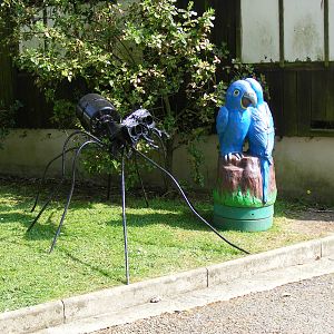 Birdland Park & Gardens, 22 April 2011