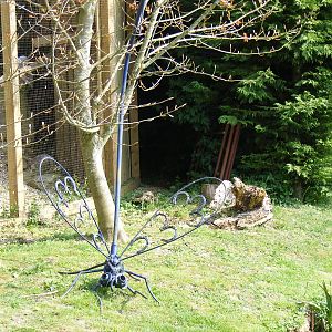 Birdland Park & Gardens, 22 April 2011