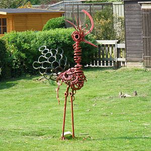 Birdland Park & Gardens, 22 April 2011