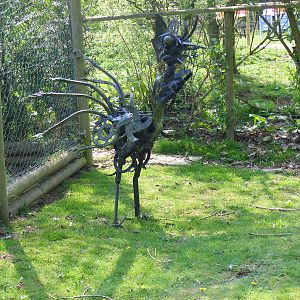 Birdland Park & Gardens, 22 April 2011