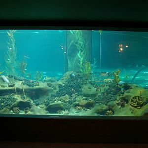 front viewing window of Oceanarium
