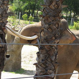 Billy Sparring With Palm Before Breaking Tusk
