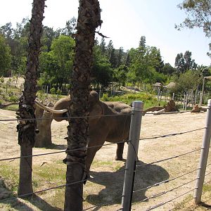 Billy Sparring With Palm Before Breaking Tusk