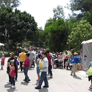 Good Friday Zoo Crowd