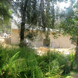 LAIR Construction Site April 22, 2011