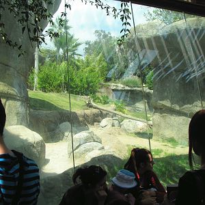 Campo Gorilla Reserve