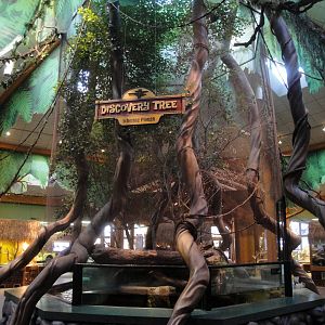 Discovery Tree