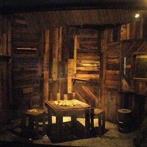 Straw-colored Fruit Bat Exhibit