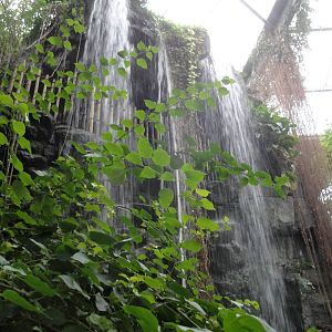 Lied Jungle Waterfall