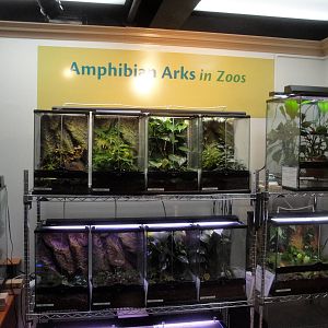 Amphibian Lab