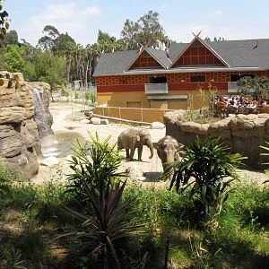 Tina and Jewel - Elephants of India Yard