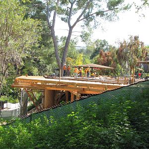 Conservation Carousel Construction