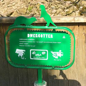 Plaswijckpark Rotterdam - Small-clawed otter education