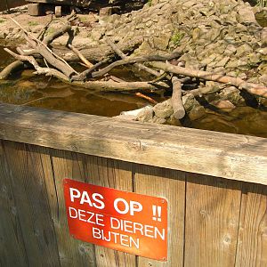 Plaswijckpark Rotterdam - Small-clawed otter enclosure